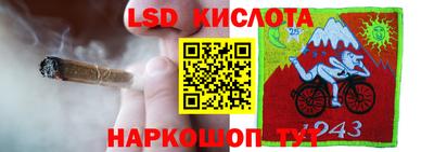 гашик Бузулук
