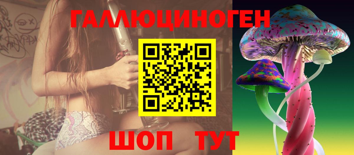 Псилоцибиновые грибы GOLDEN TEACHER  Псилоцибиновые грибы Cubensis  Вход с VPN  Пушкино 